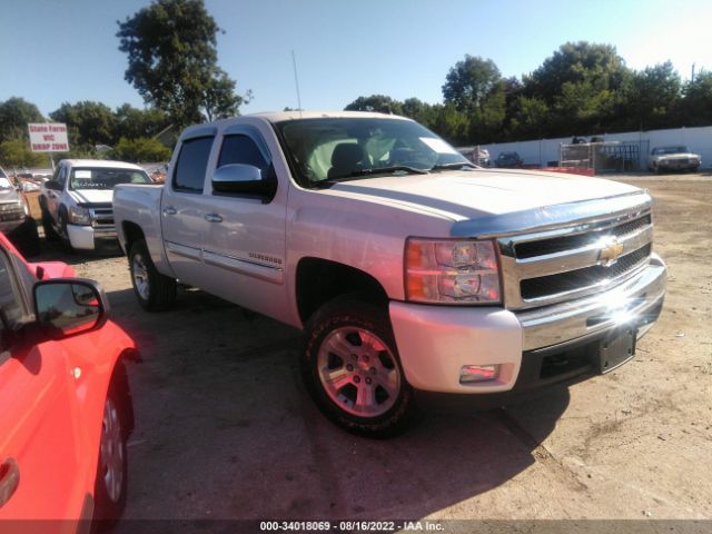 CHEVROLET SILVERADO 1500 2011 3gcpkse31bg355393