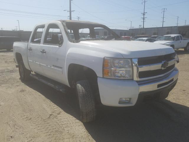 CHEVROLET SILVERADO 2011 3gcpkse32bg146020