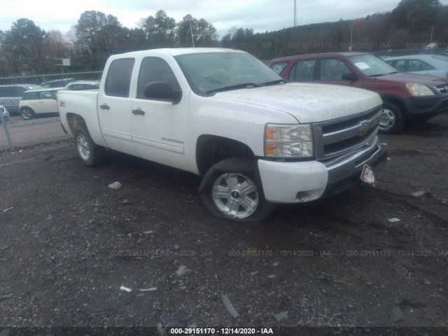 CHEVROLET SILVERADO 1500 2011 3gcpkse32bg151136