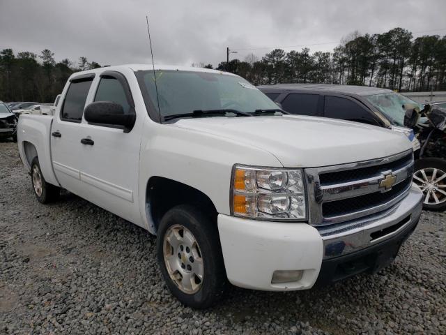 CHEVROLET SILVERADO 1500 2011 3gcpkse33bg128187