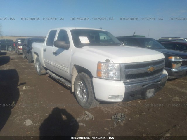 CHEVROLET SILVERADO 1500 2011 3gcpkse33bg383308