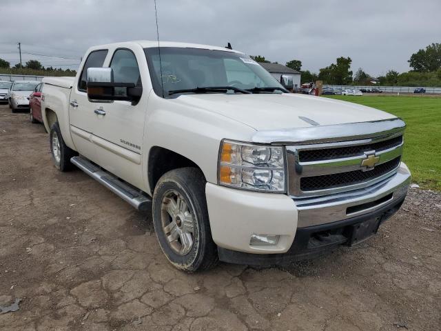 CHEVROLET SILVERADO 2011 3gcpkse33bg387181