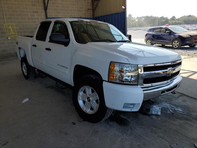 CHEVROLET SILVERADO 2011 3gcpkse33bg403833