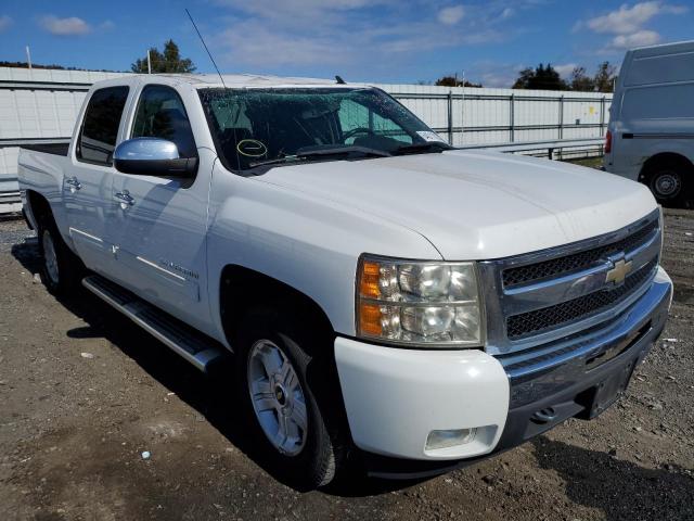 CHEVROLET SILVERADO 2011 3gcpkse35bg112735