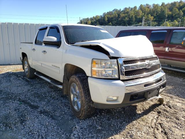 CHEVROLET SILVERADO 2011 3gcpkse36bg102540