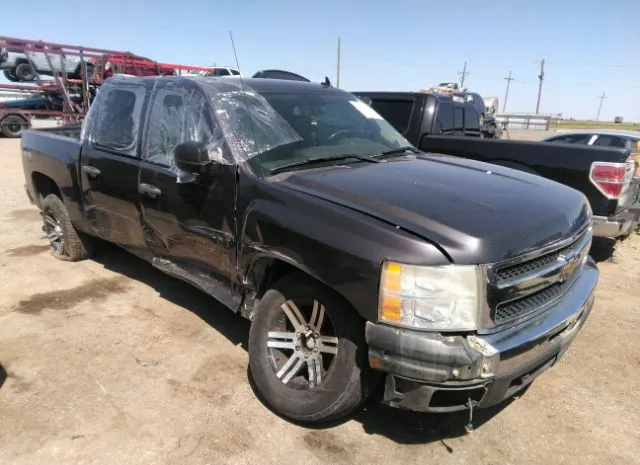 CHEVROLET SILVERADO 1500 2011 3gcpkse36bg124358