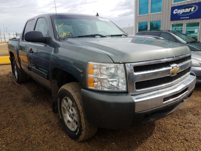 CHEVROLET SILVERADO 2011 3gcpkse36bg179683