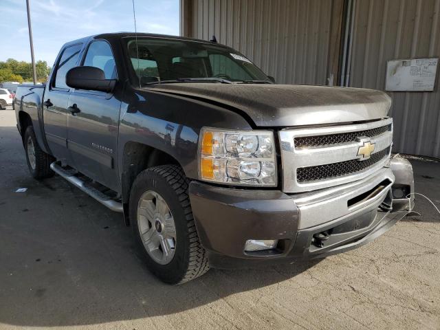 CHEVROLET SILVERADO 2011 3gcpkse37bg202002