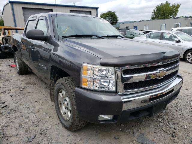 CHEVROLET SILVERADO 2011 3gcpkse37bg244489