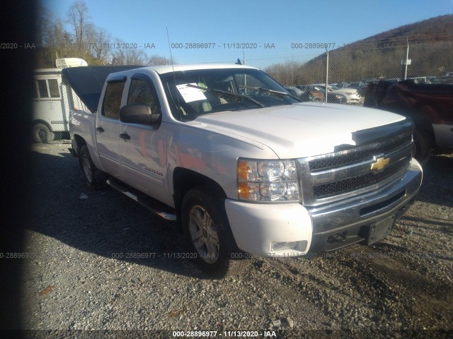 CHEVROLET SILVERADO 1500 2011 3gcpkse37bg284832