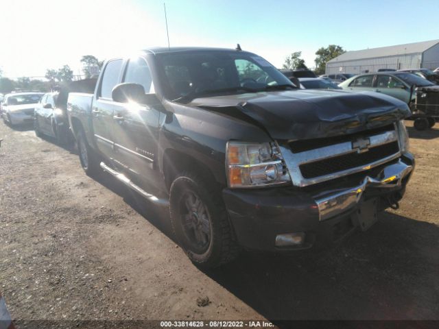 CHEVROLET SILVERADO 1500 2011 3gcpkse38bg144269