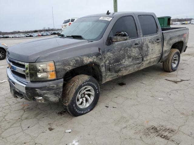 CHEVROLET SILVERADO 2011 3gcpkse38bg181483