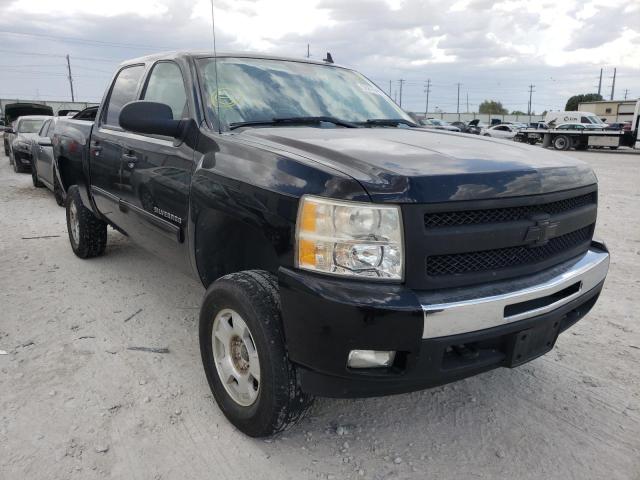 CHEVROLET C 1500 2011 3gcpkse38bg334847