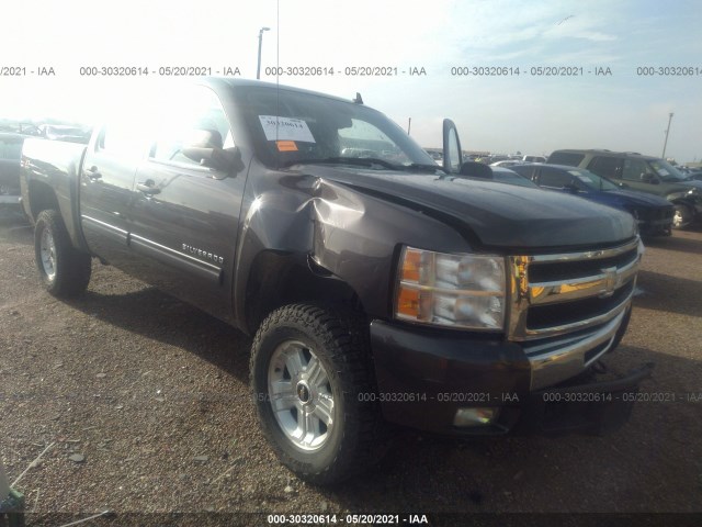 CHEVROLET SILVERADO 1500 2011 3gcpkse39bg229279