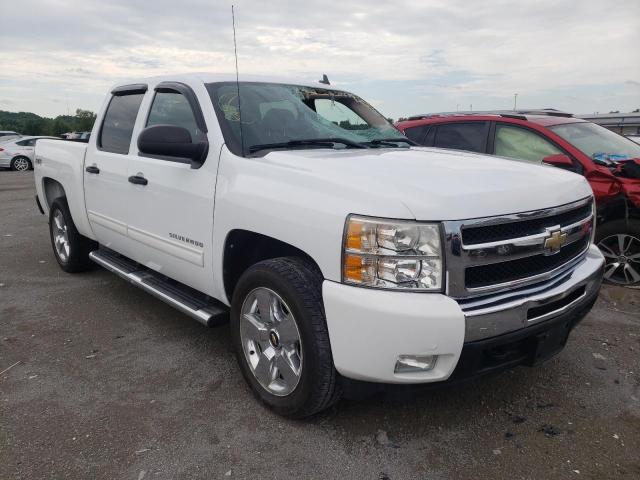 CHEVROLET SILVERADO 2011 3gcpkse39bg240170