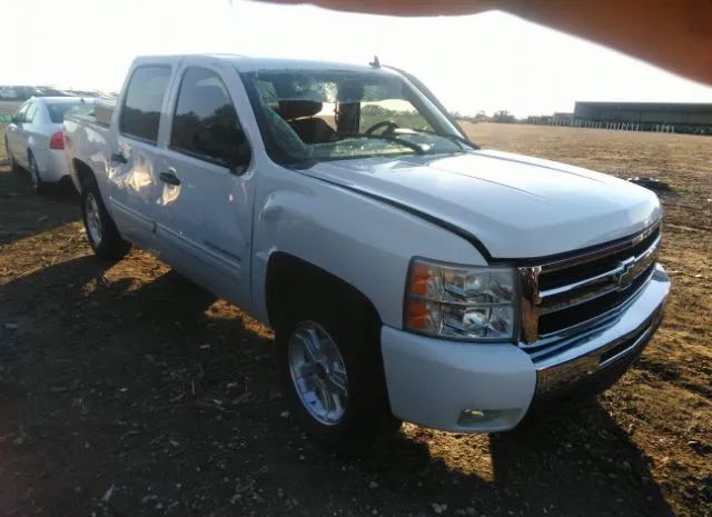 CHEVROLET SILVERADO 1500 2011 3gcpkse39bg268972