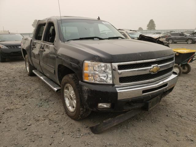 CHEVROLET SILVERADO 2011 3gcpkse3xbg144595