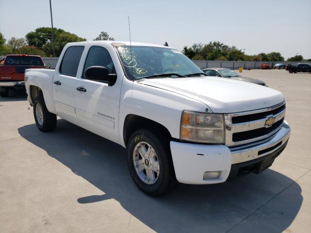 CHEVROLET SILVERADO 2011 3gcpkse3xbg376209