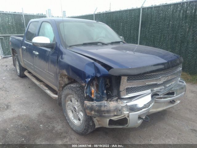 CHEVROLET SILVERADO 1500 2013 3gcpkse71dg141526