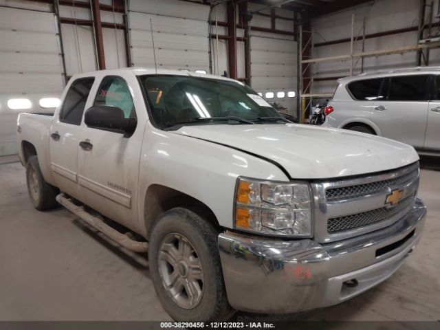 CHEVROLET SILVERADO 1500 2013 3gcpkse71dg176390