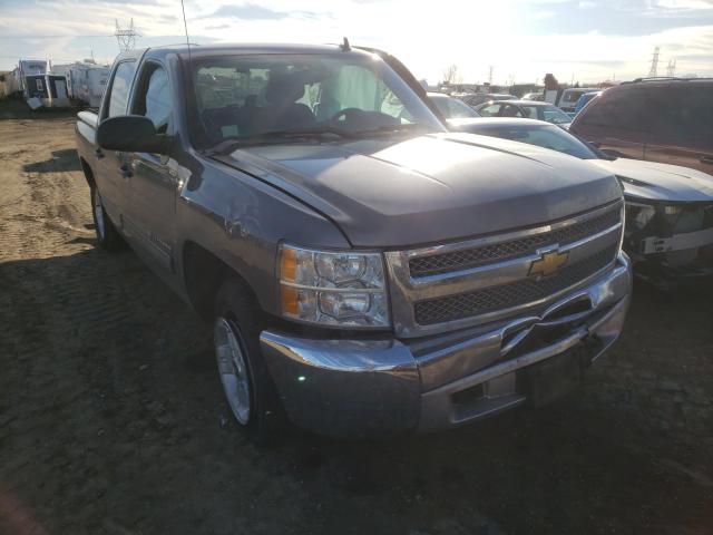 CHEVROLET SILVERADO 2013 3gcpkse72dg290253