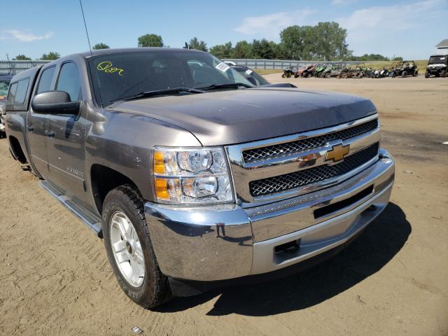 CHEVROLET SILVERADO 2013 3gcpkse72dg299034