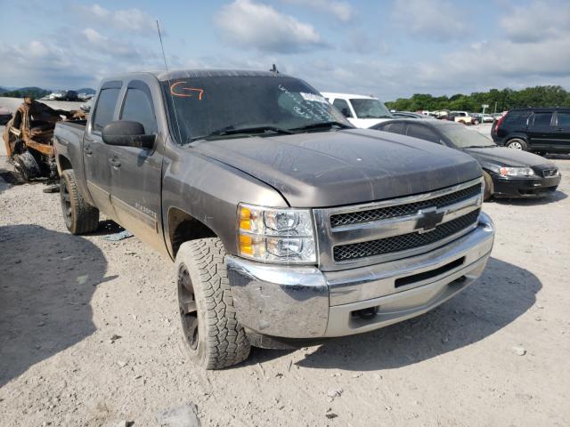 CHEVROLET SILVERADO 2013 3gcpkse74dg342420