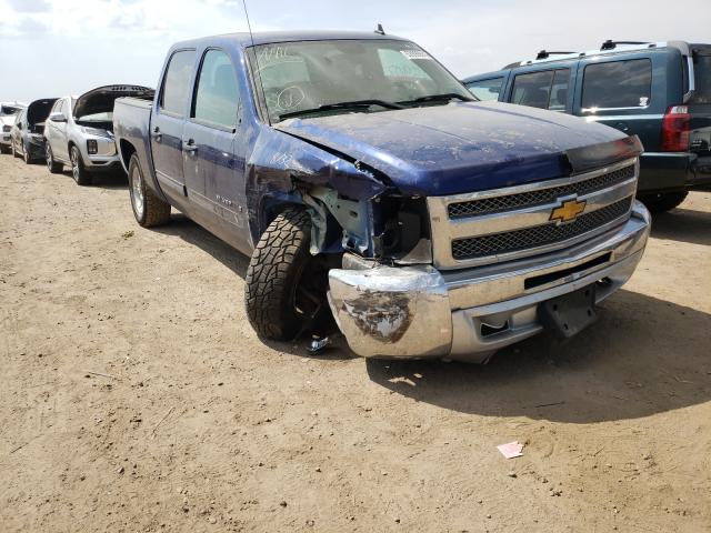 CHEVROLET SILVERADO 2013 3gcpkse75dg123725