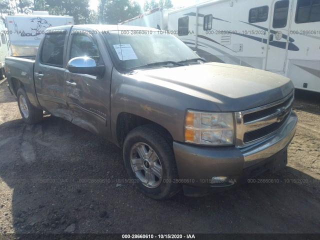 CHEVROLET SILVERADO 1500 2013 3gcpkse77dg128019