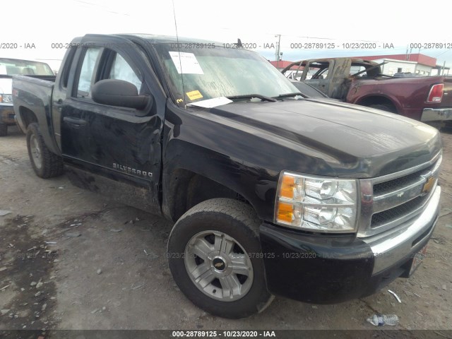 CHEVROLET SILVERADO 1500 2013 3gcpkse77dg139859