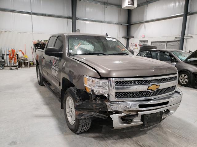 CHEVROLET SILVERADO 2013 3gcpkse77dg342217