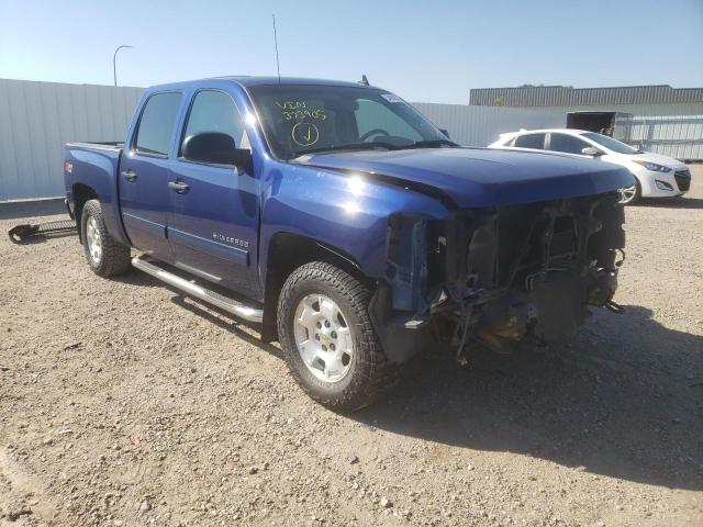 CHEVROLET 1500 2013 3gcpkse77dg373905