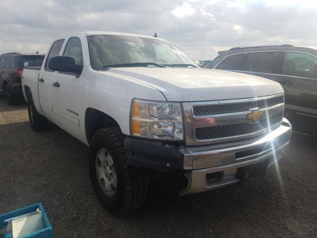 CHEVROLET SILVERADO 0 3gcpkse79dg110508