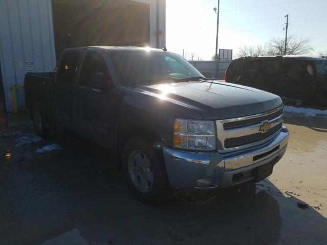 CHEVROLET SILVERADO 2013 3gcpkse79dg153908