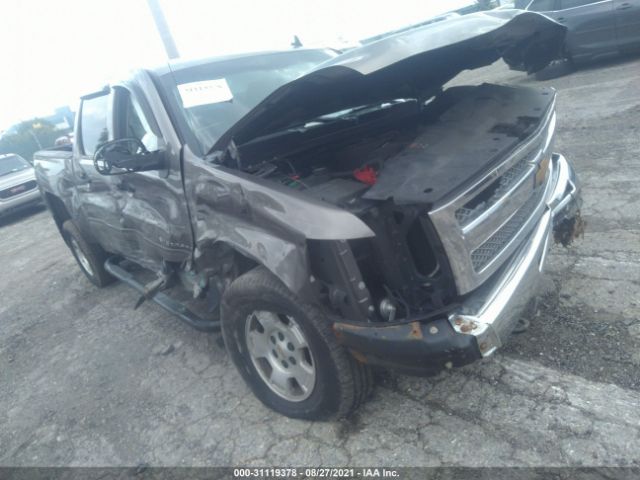 CHEVROLET SILVERADO 1500 2013 3gcpkse79dg301300