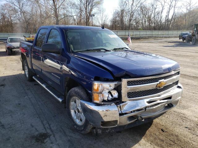 CHEVROLET SILVERADO 2013 3gcpkse79dg362775