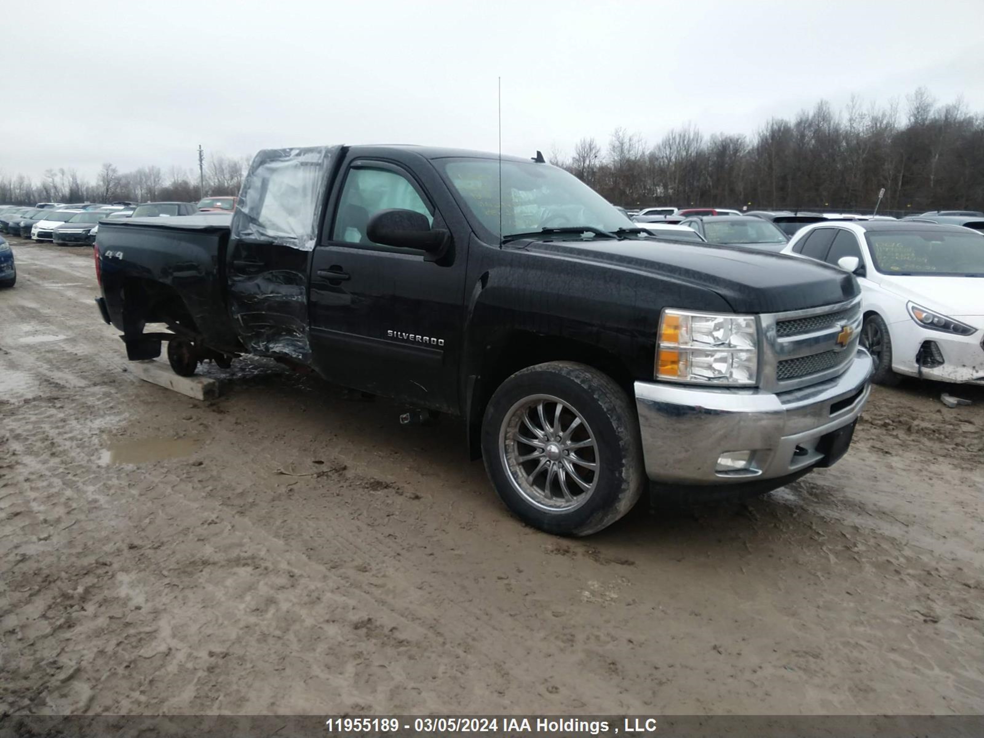 CHEVROLET SILVERADO 2012 3gcpkse7xcg234981