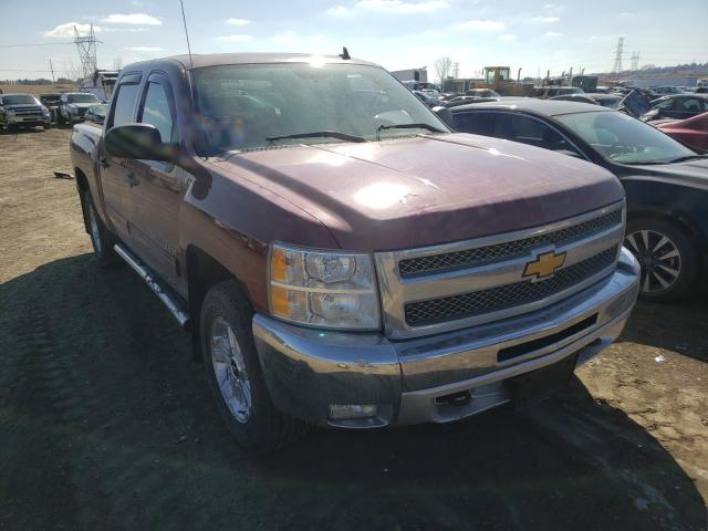 CHEVROLET SILVERADO 1500 2013 3gcpkse7xdg357116