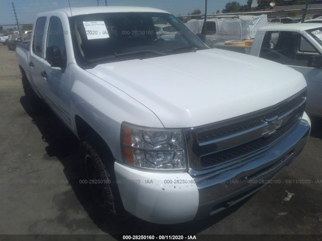 CHEVROLET SILVERADO 1500 2011 3gcpksea5bg202871