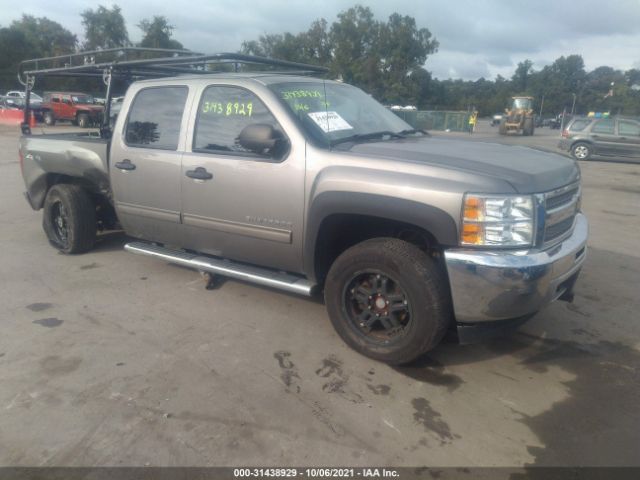 CHEVROLET SILVERADO 1500 2013 3gcpksea5dg233900