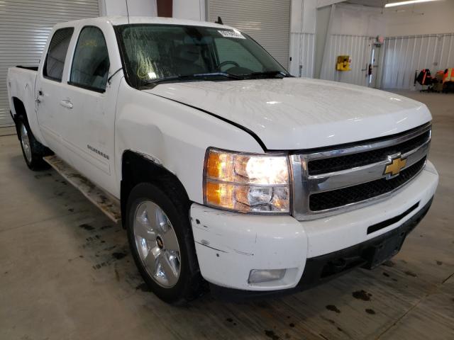 CHEVROLET SILVERADO 2011 3gcpkte29bg250243