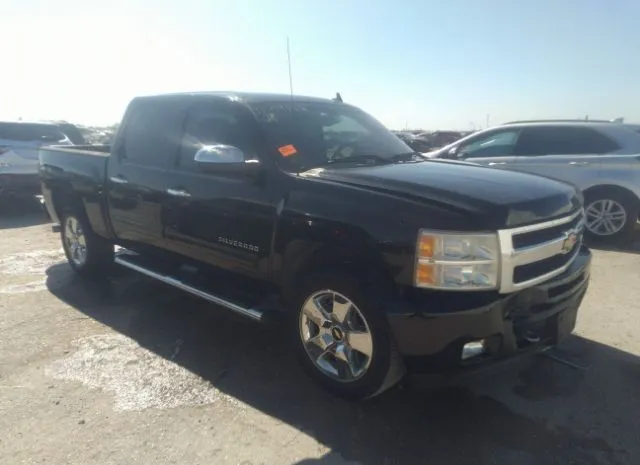 CHEVROLET SILVERADO 1500 2011 3gcpkte2xbg178744