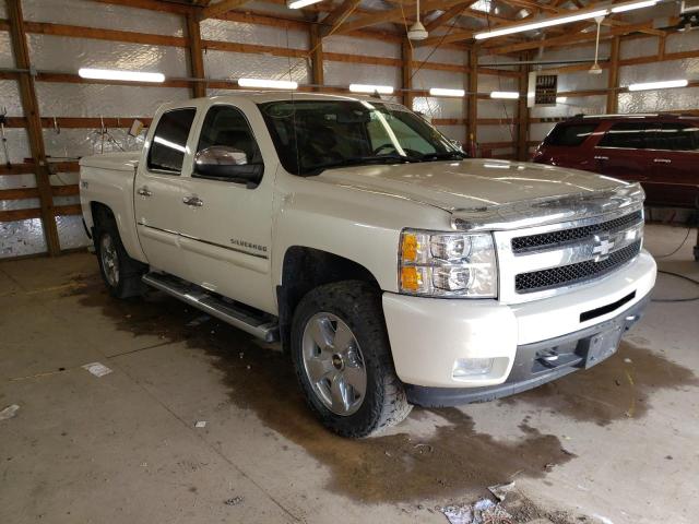 CHEVROLET SILVERADO 2011 3gcpkte31bg179905