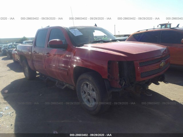 CHEVROLET SILVERADO 1500 2011 3gcpkte33bg189691