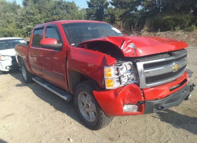 CHEVROLET SILVERADO 1500 2011 3gcpkte33bg266009