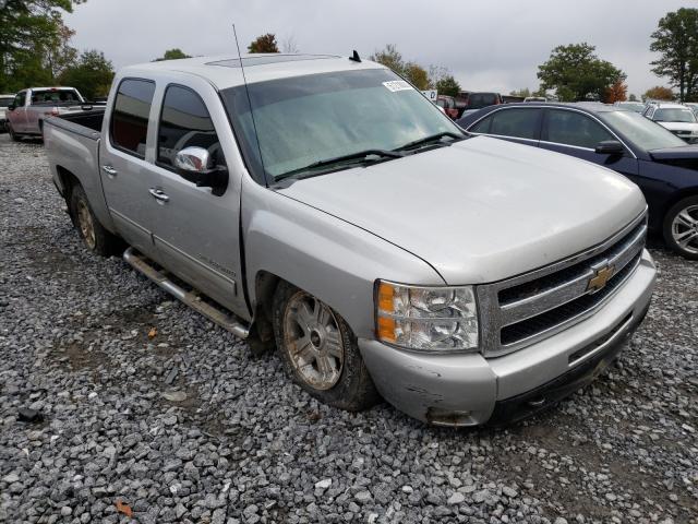 CHEVROLET SILVERADO 2011 3gcpkte35bg101370