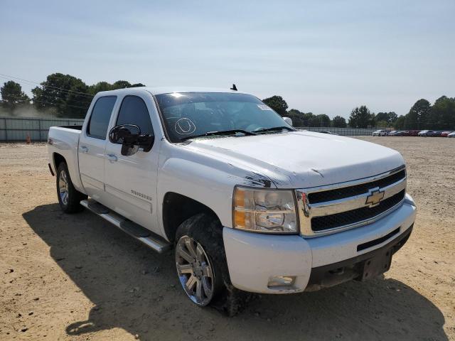 CHEVROLET SILVERADO 2011 3gcpkte35bg249356