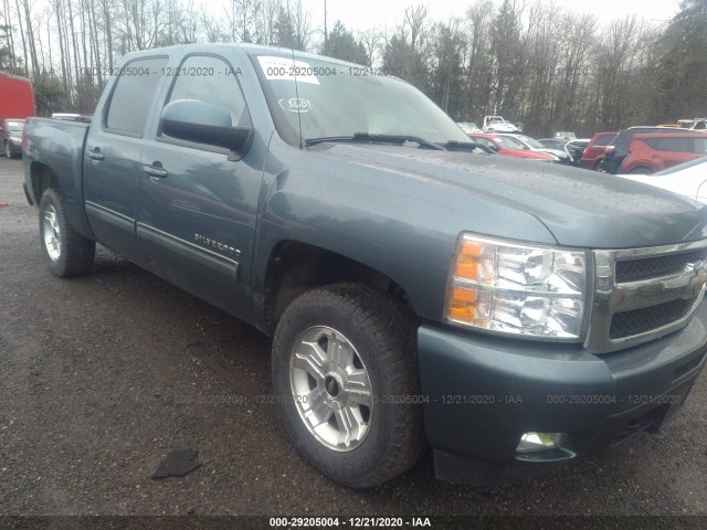 CHEVROLET SILVERADO 1500 2011 3gcpkte36bg236065