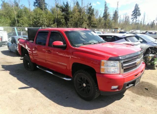 CHEVROLET SILVERADO 1500 2011 3gcpkte36bg407817