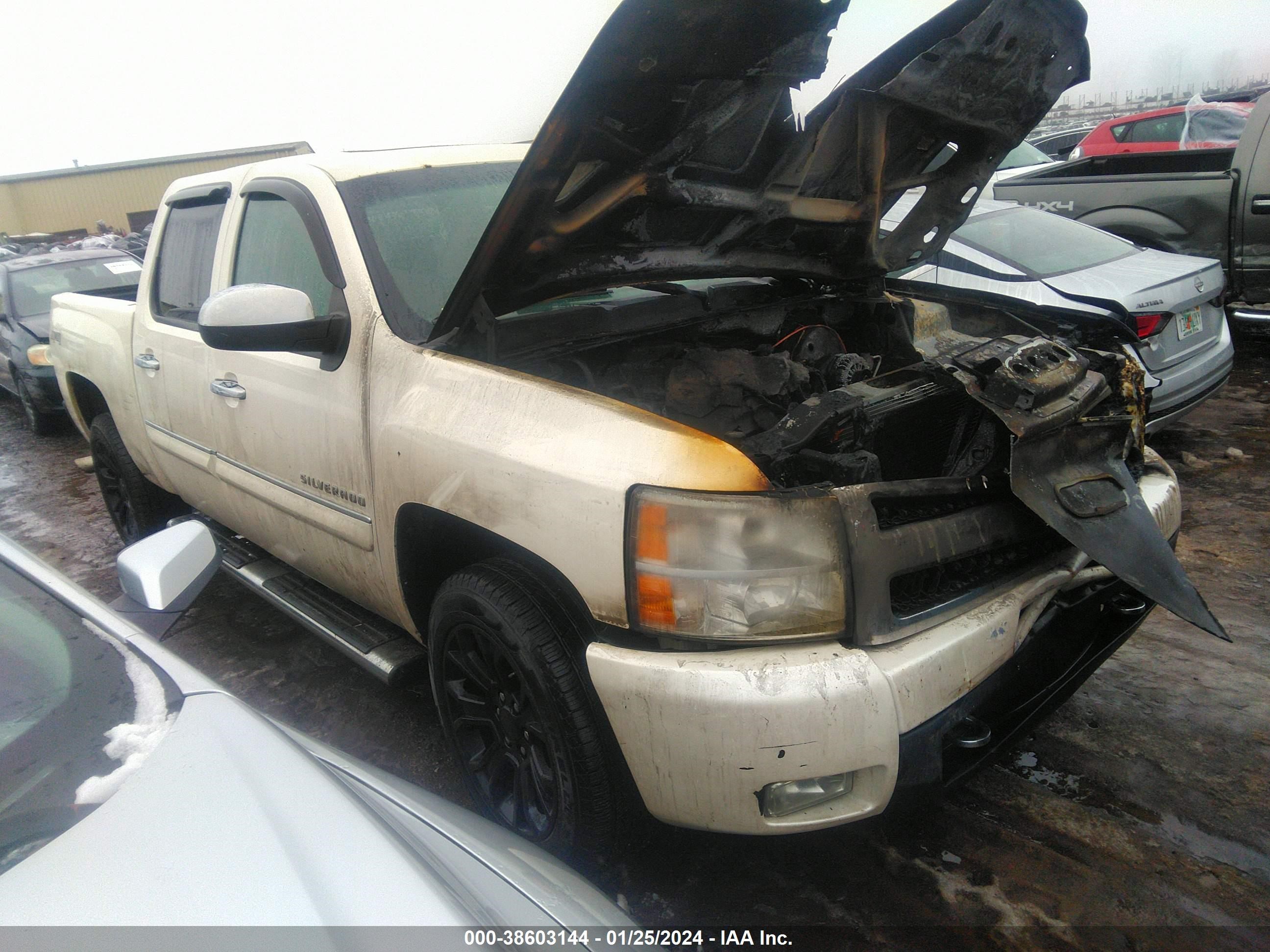 CHEVROLET SILVERADO 2011 3gcpkte37bg155771